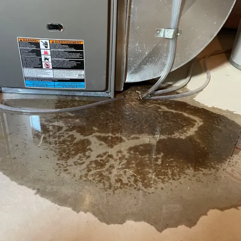 Appliance Leak Cleanup in Buttonwillow, CA